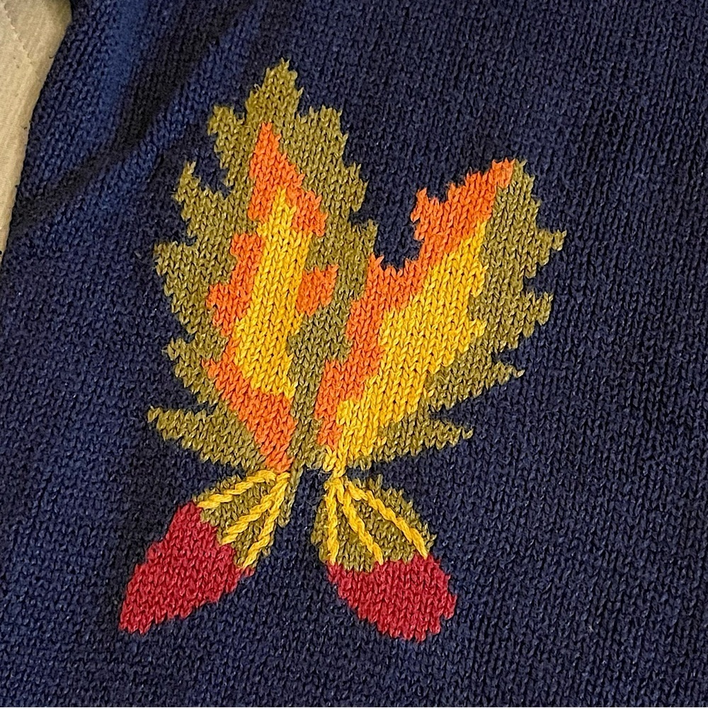 Hasting & Smith Vintage Intarsia Sweater Fall Leaves Grapes Cotton Ramie Size M - Picture 9 of 15